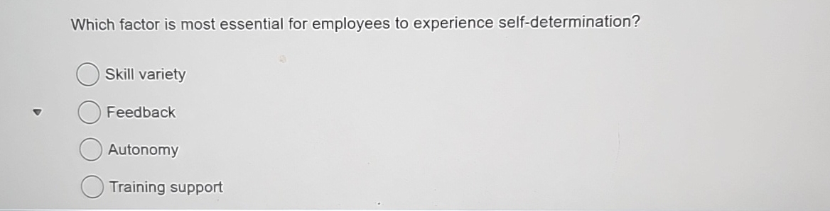 Which factor is most essential for employees to