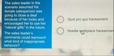 The sales leader in the scenario assumed his