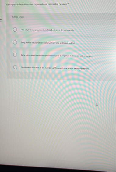 Which person best flustrates organizational