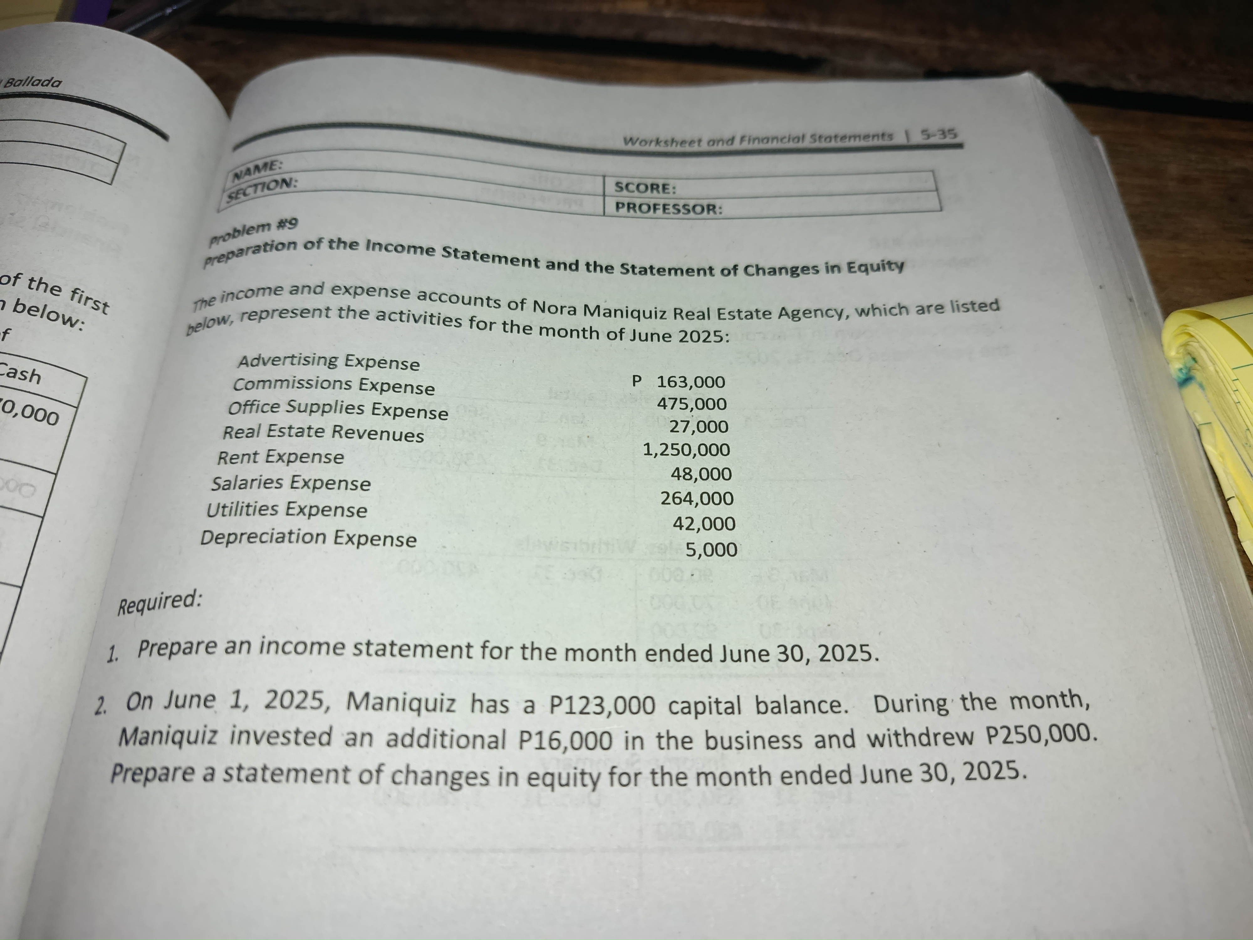 Balance sheet for the month ended june 30,2025