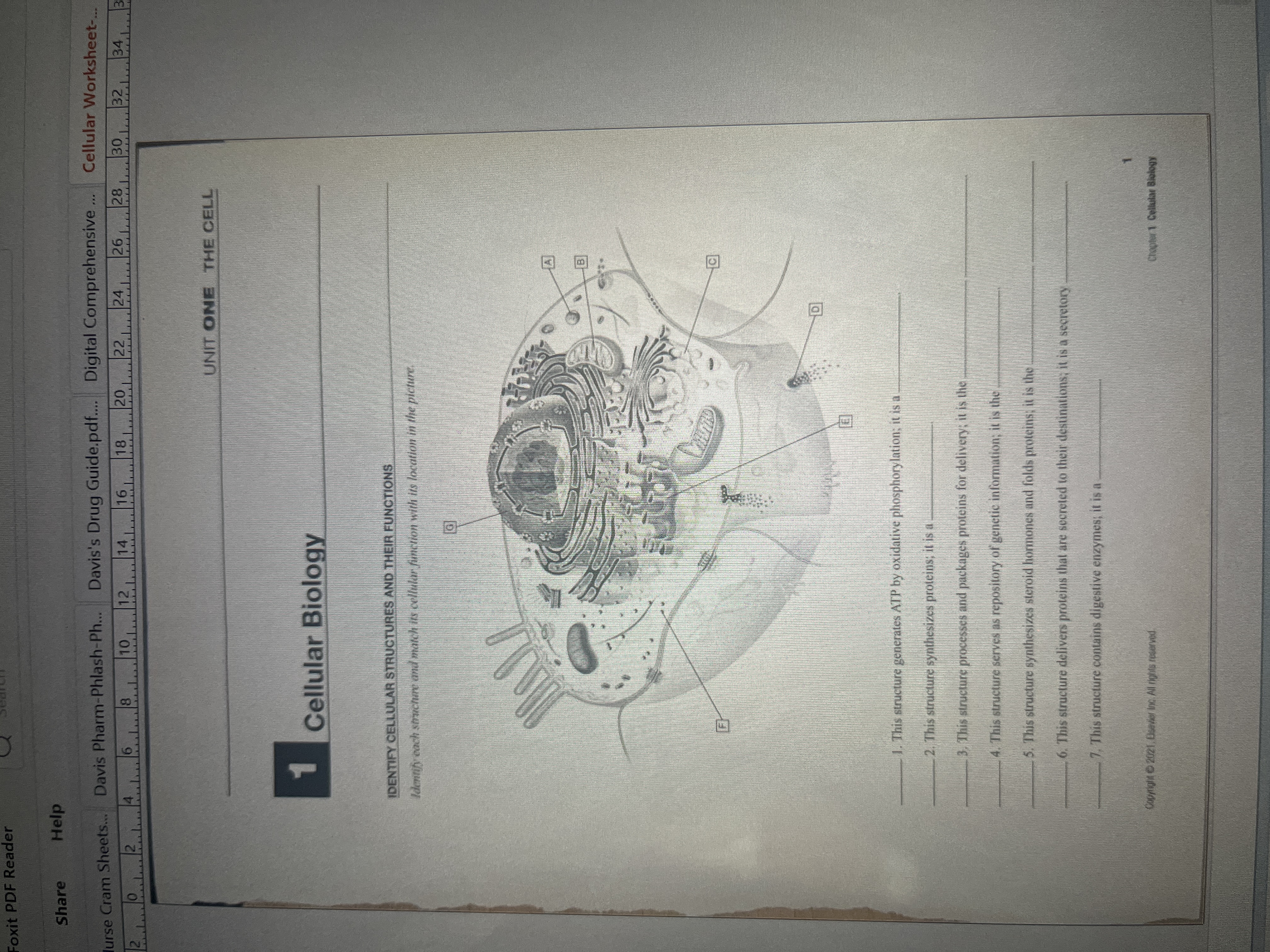 Ans Foxit PDF Reader Share Help urse Cram