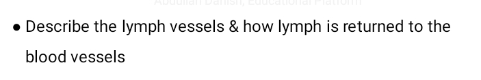 Ans e Describe the lymph vessels & how lymph is