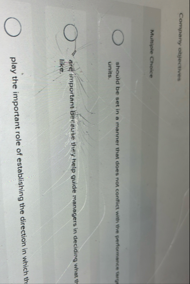 Company objectives Multiple Choice should be set