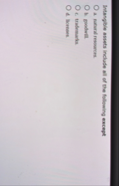 Intangible assets include all of the following