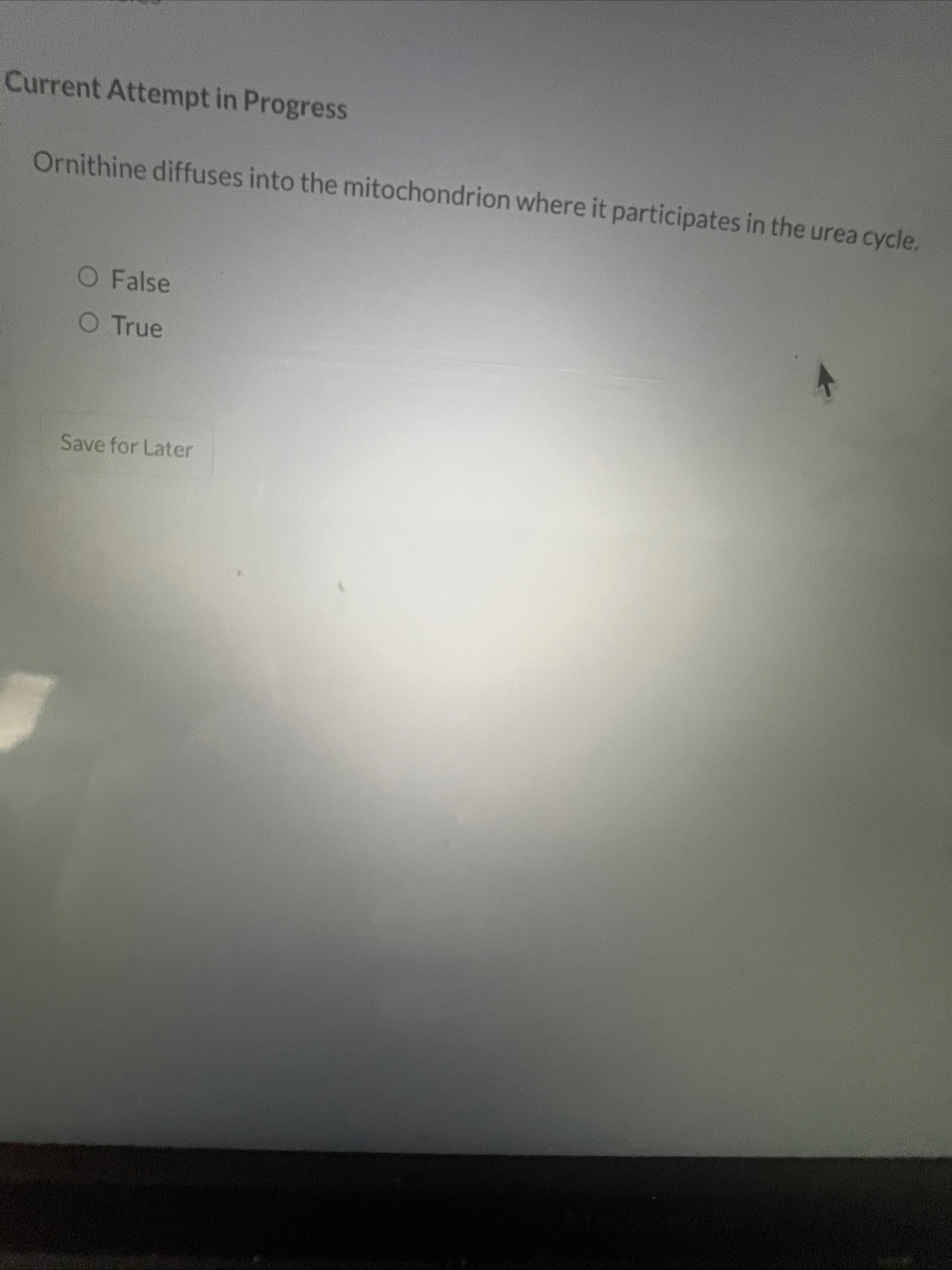 Current Attempt in Progress Ornithine diffuses