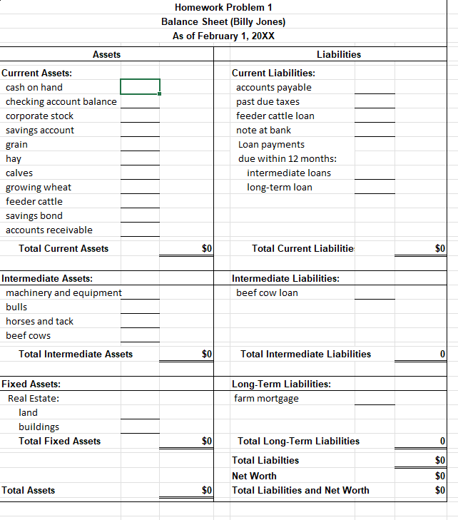 Homework Problem 1 - BALANCE SHEET ANALYSIS