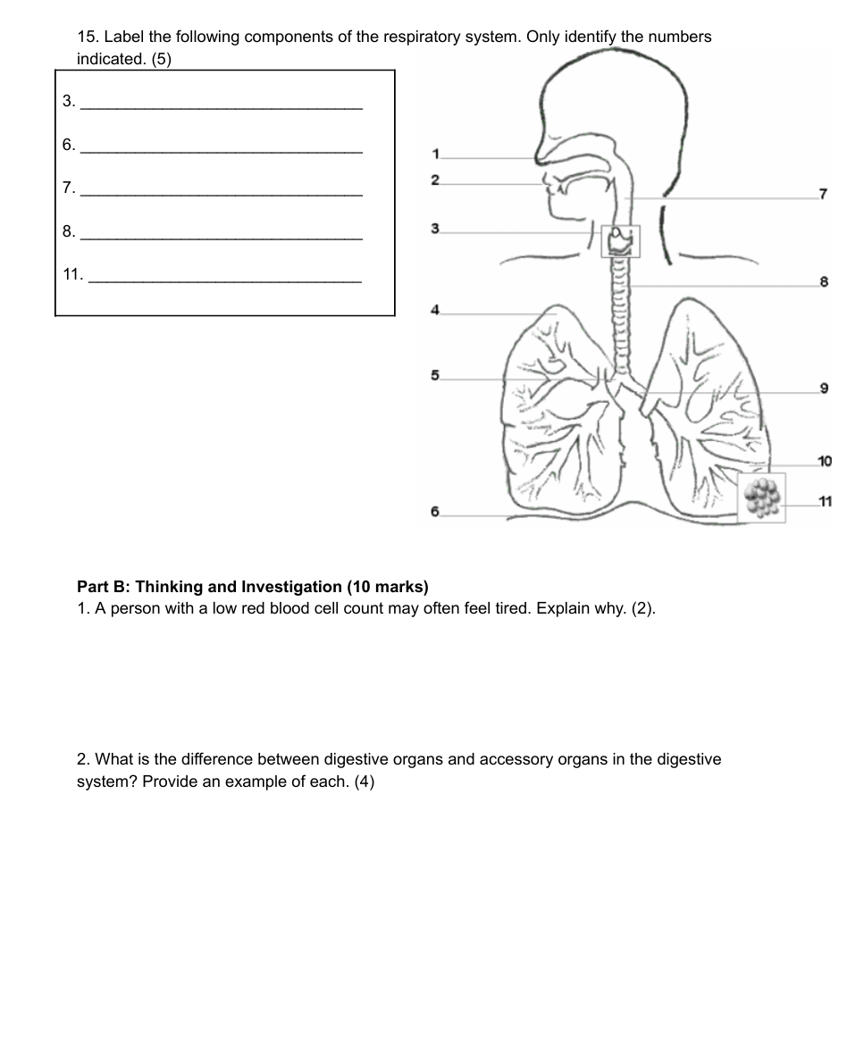 ANSWER 15. Label the following components of the