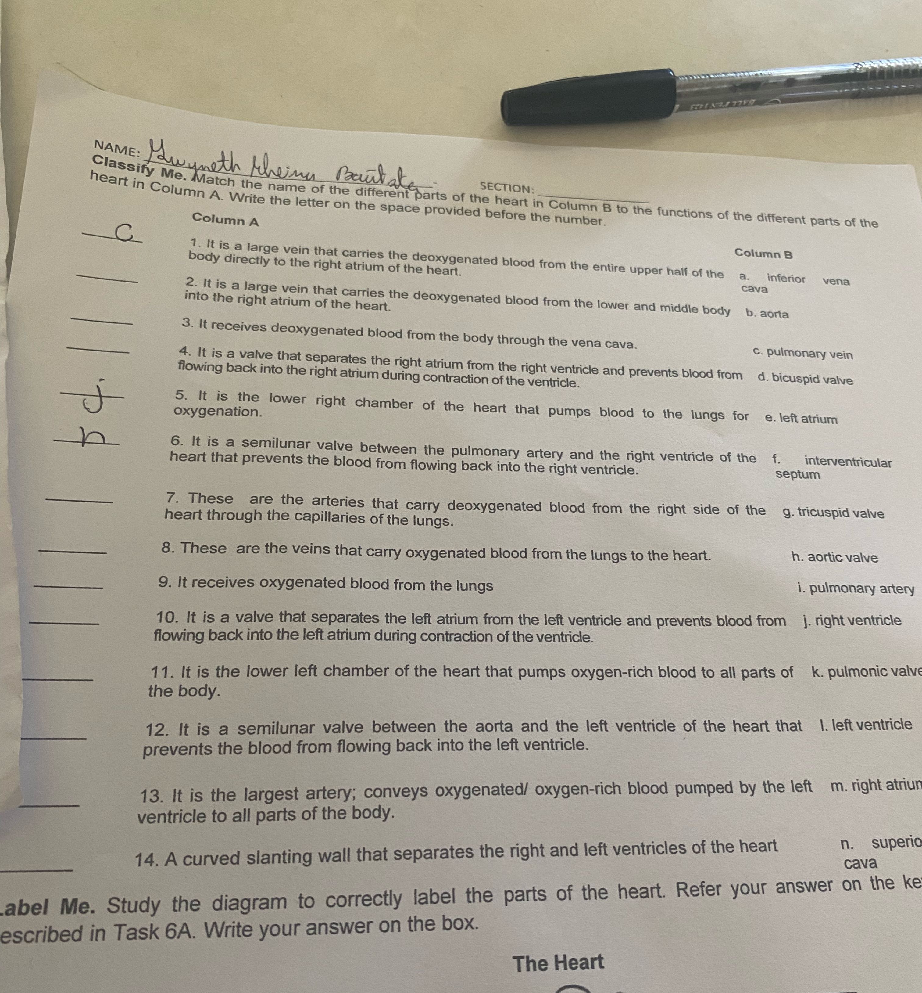 Answer this NAME: wyeth When Bautate Classify Me.