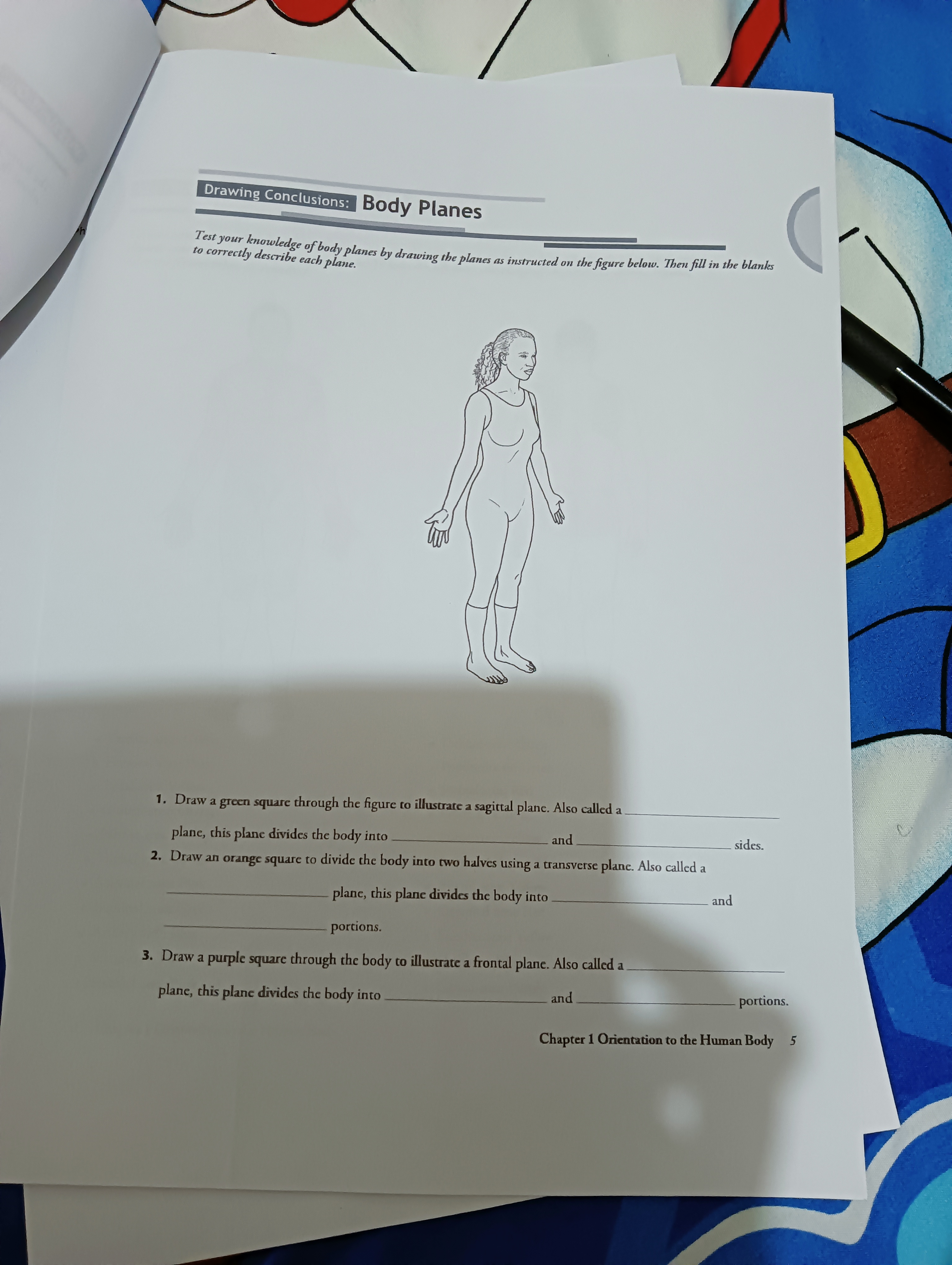 Answer it Drawing Conclusions: Body Planes Test