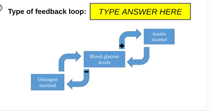 Positive or negative feedback? Type of feedback