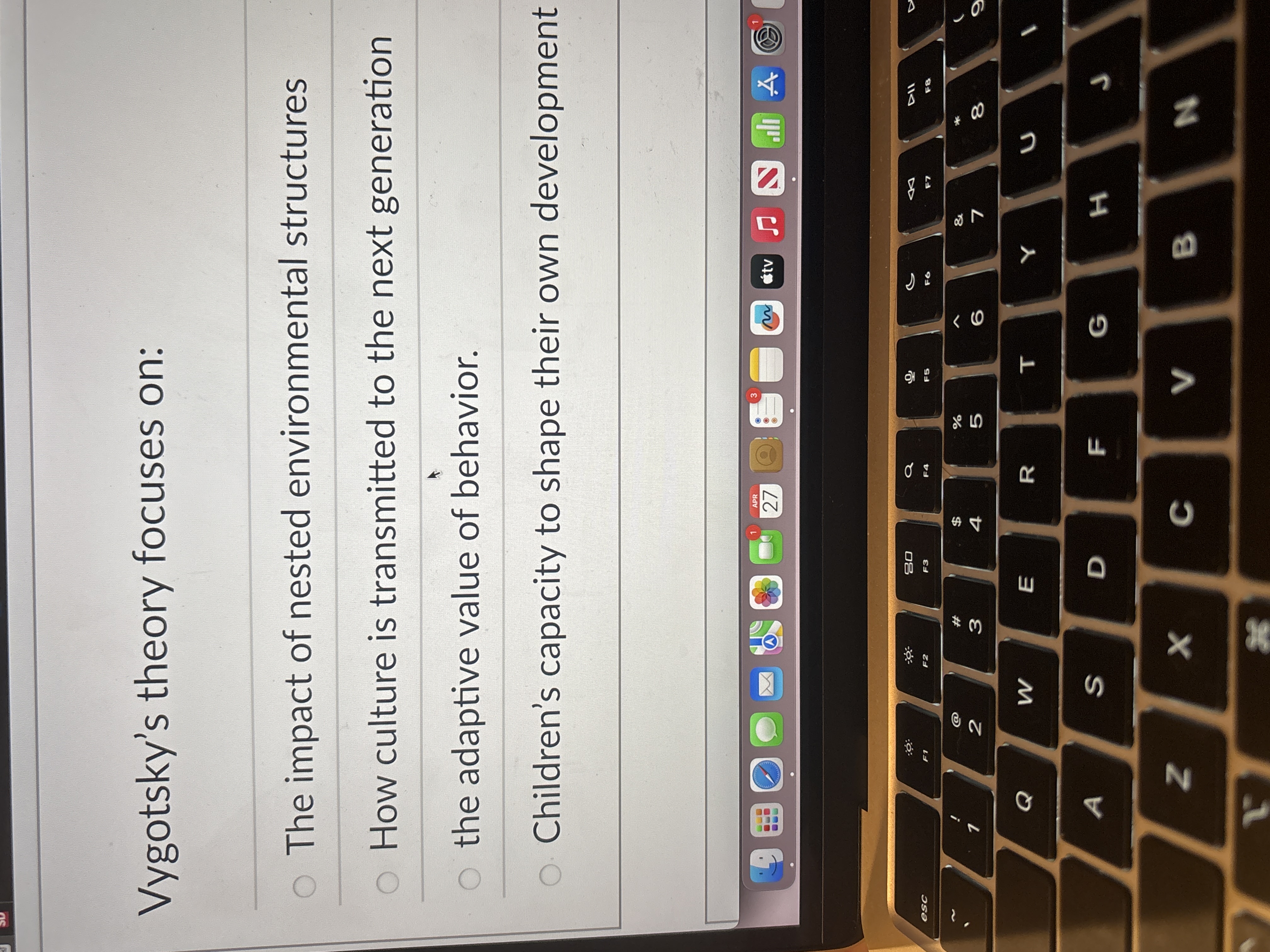? Vygotsky's theory focuses on: The impact of