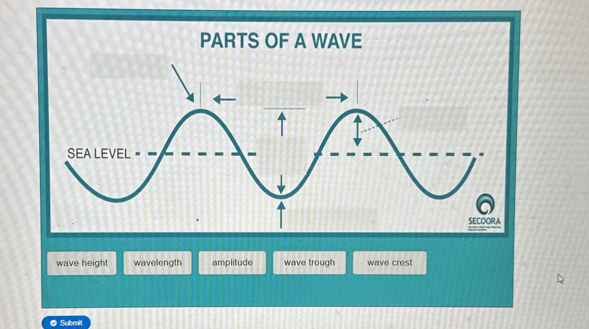 ? PARTS OF A WAVE SEA LEVEL - SECOORA wave height