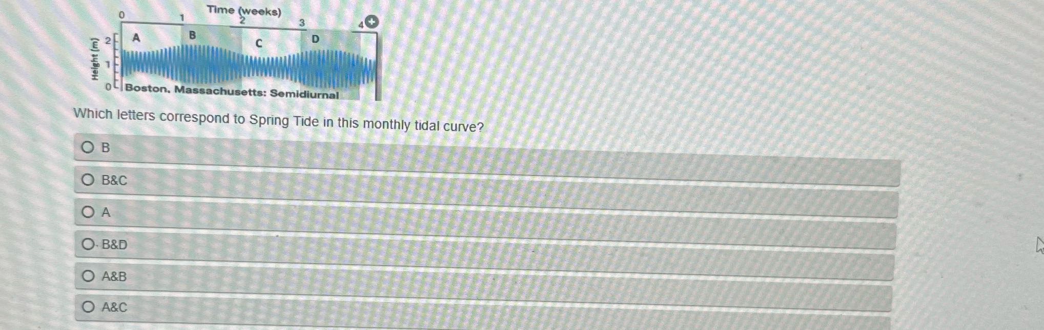 ? Time (weeks) D Height (m) Boston.