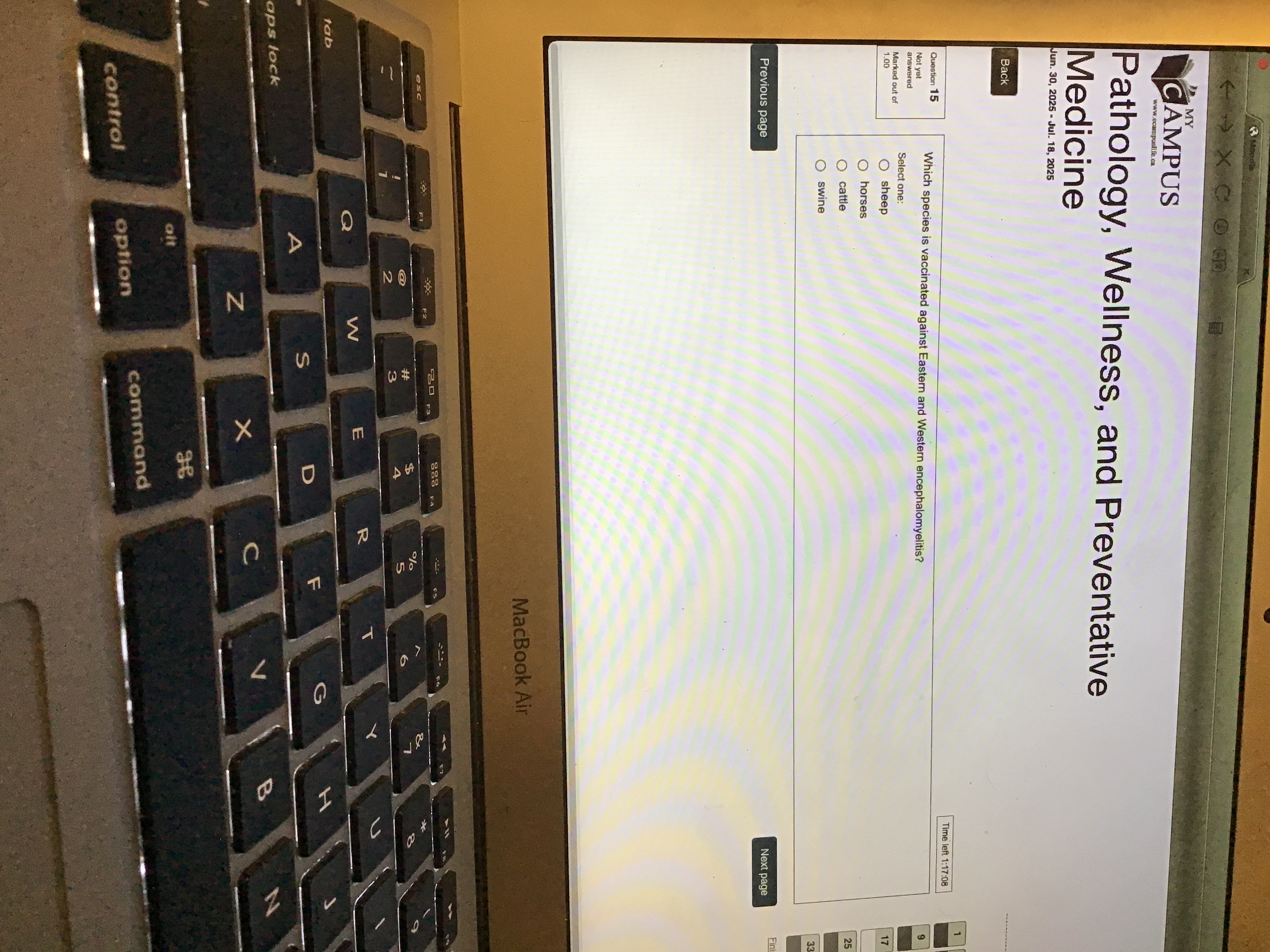 Best correct answer 12MY CAMPUS