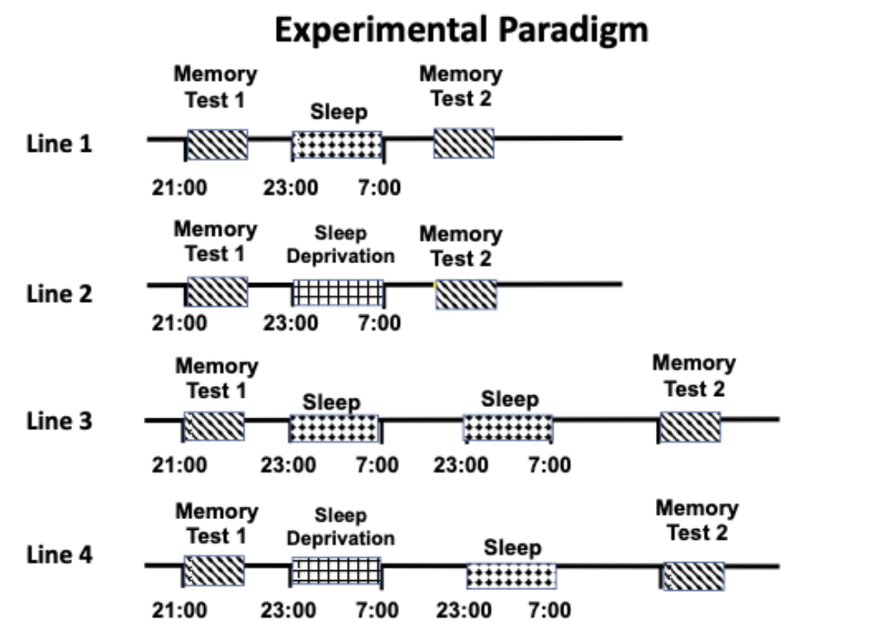 If the difference scores in line 1 and line 2