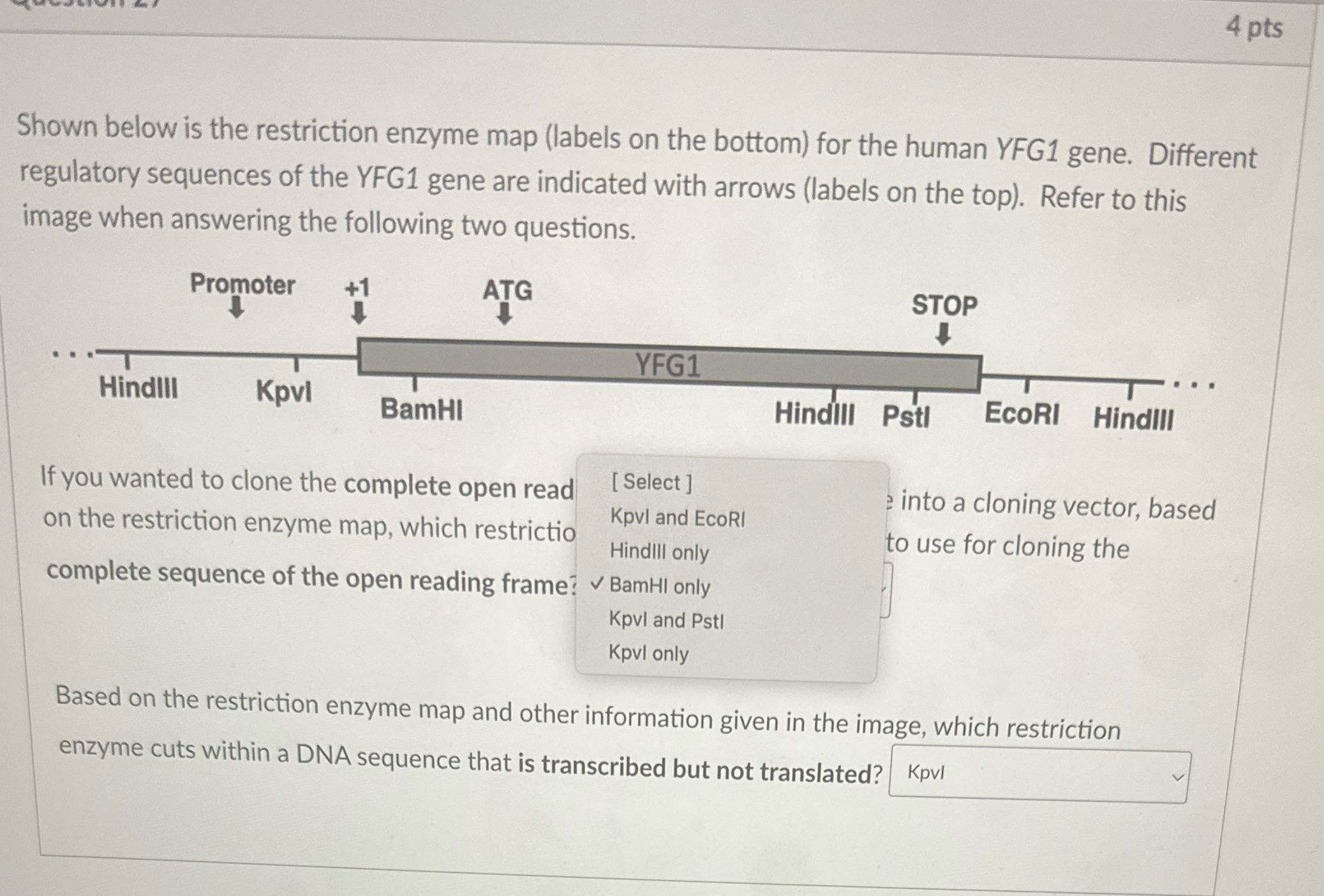 Redo with answer choices 4 pts Shown below is the