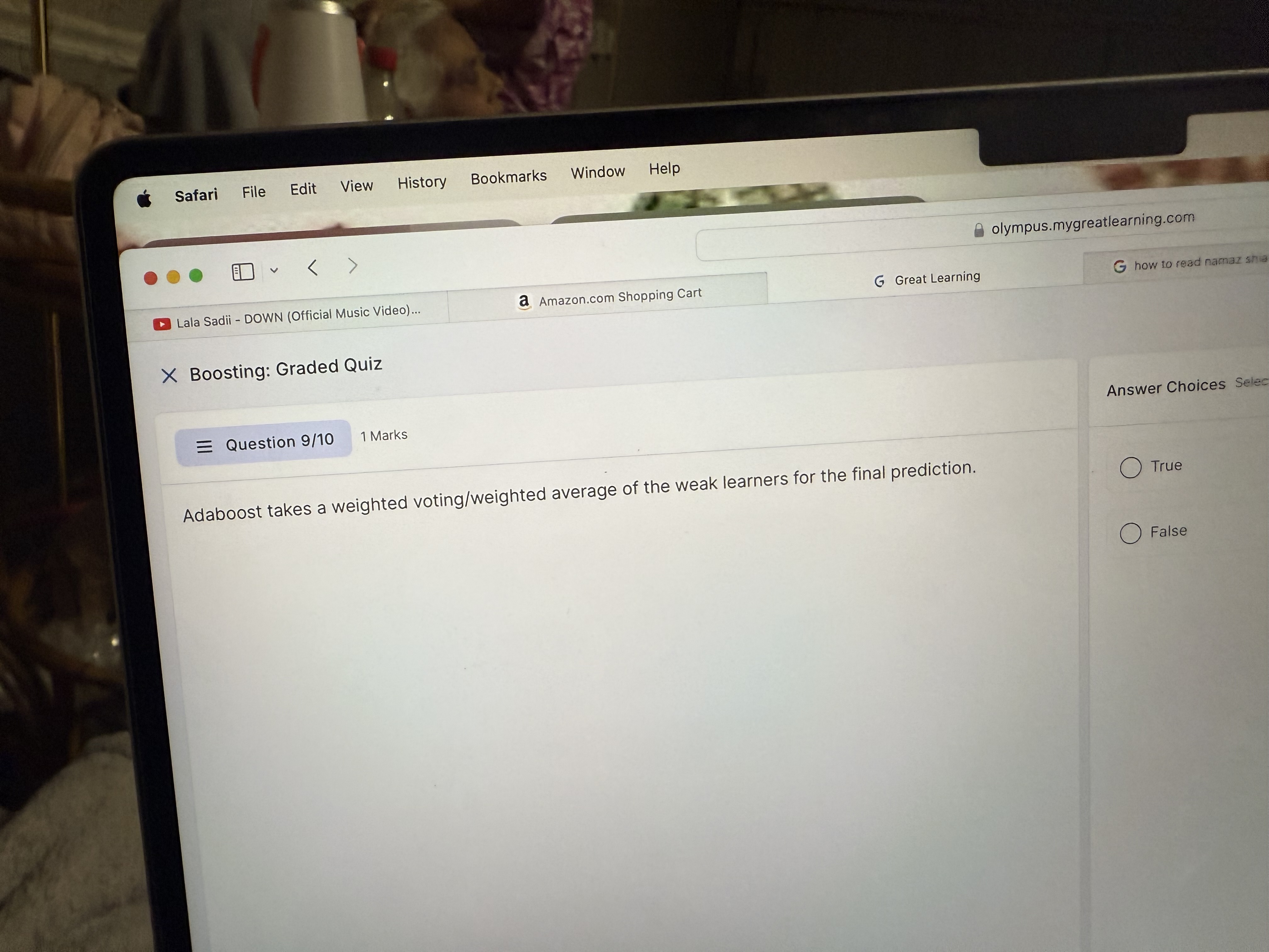 Safari File Edit View History Bookmarks Window