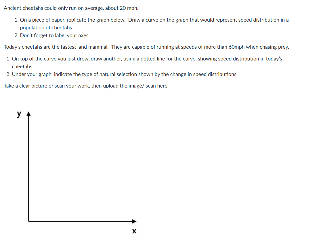 can you help me do this graph? Ancient cheetahs