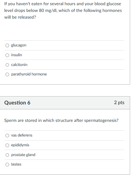 SOLVE If you haven't eaten for several hours and