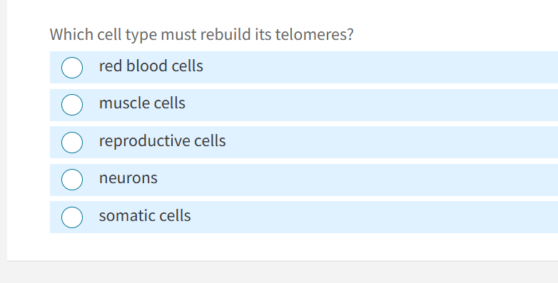option 5? Which cell type must rebuild its
