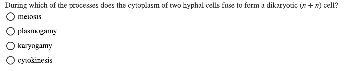 solve During which of the processes does the