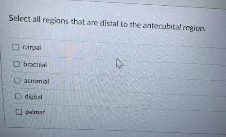 solve Select all regions that are distal to the