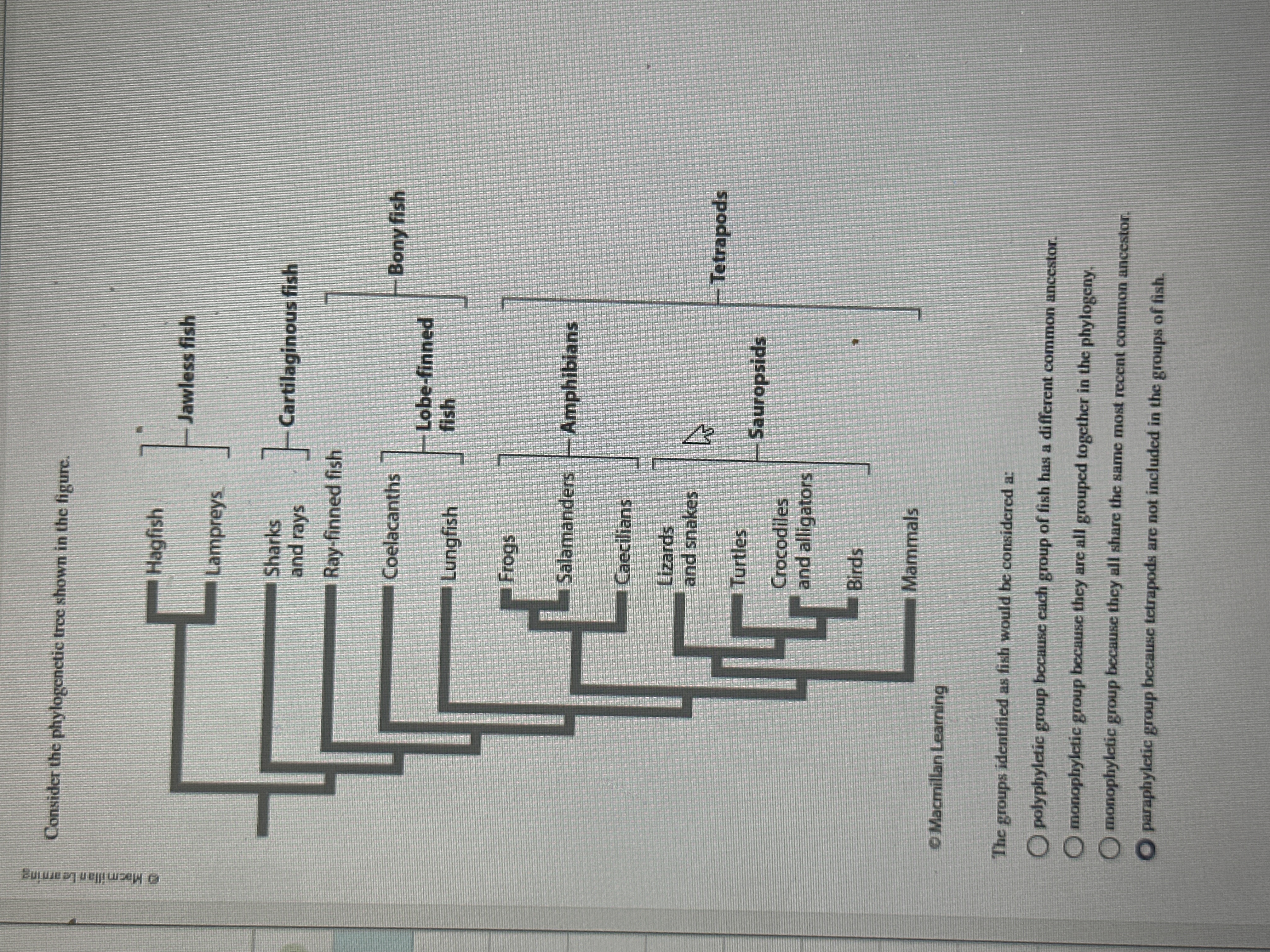 Solve Consider the phylogenetic tree shown in the