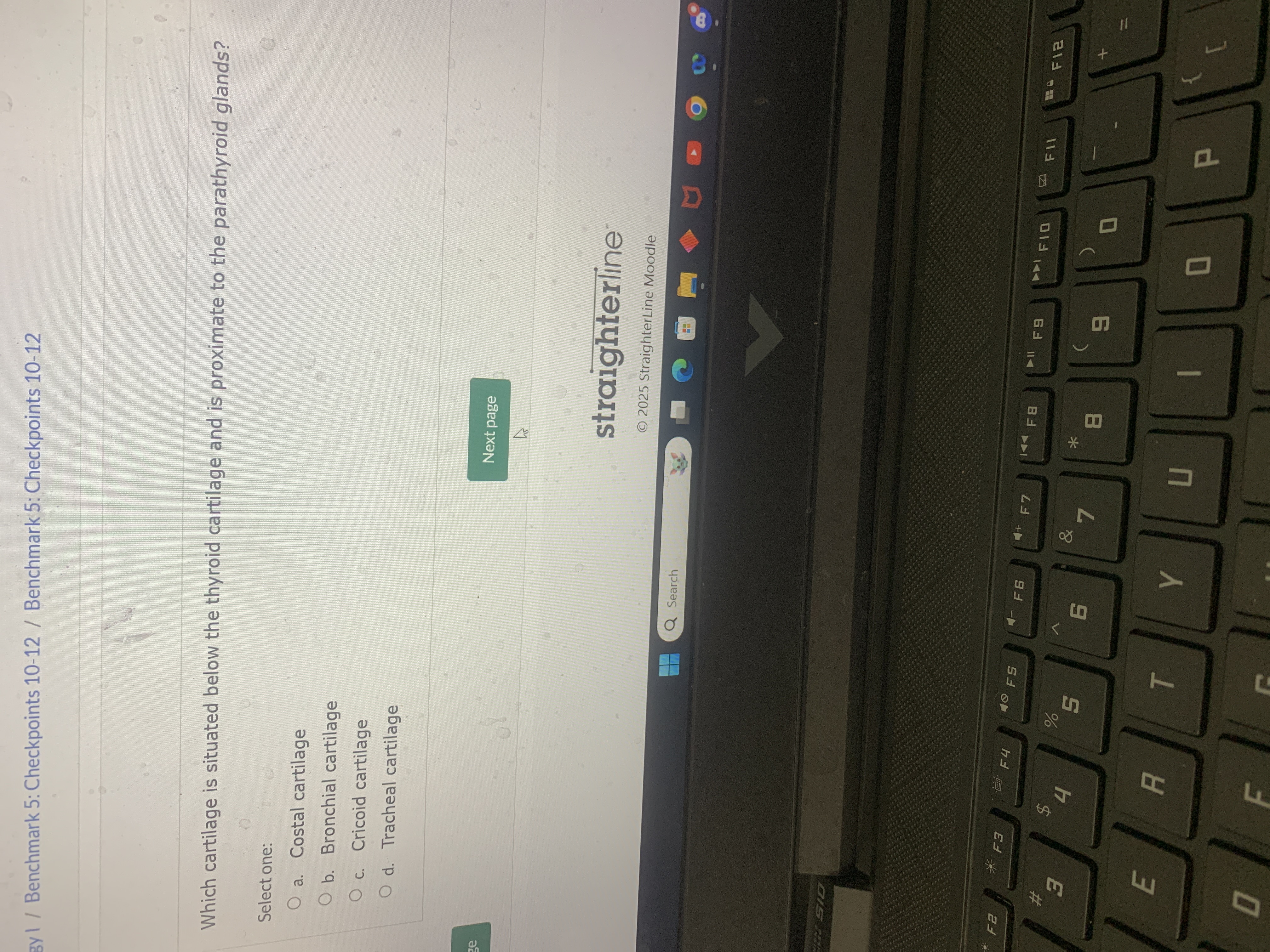 A By 1 / Benchmark 5: Checkpoints 10-12 /