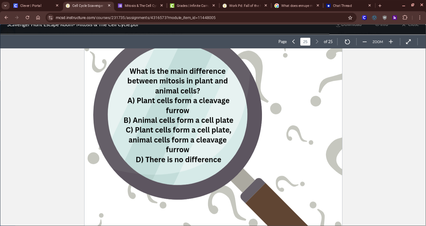 l. C Clever | Portal Cell Cycle Scavenger X