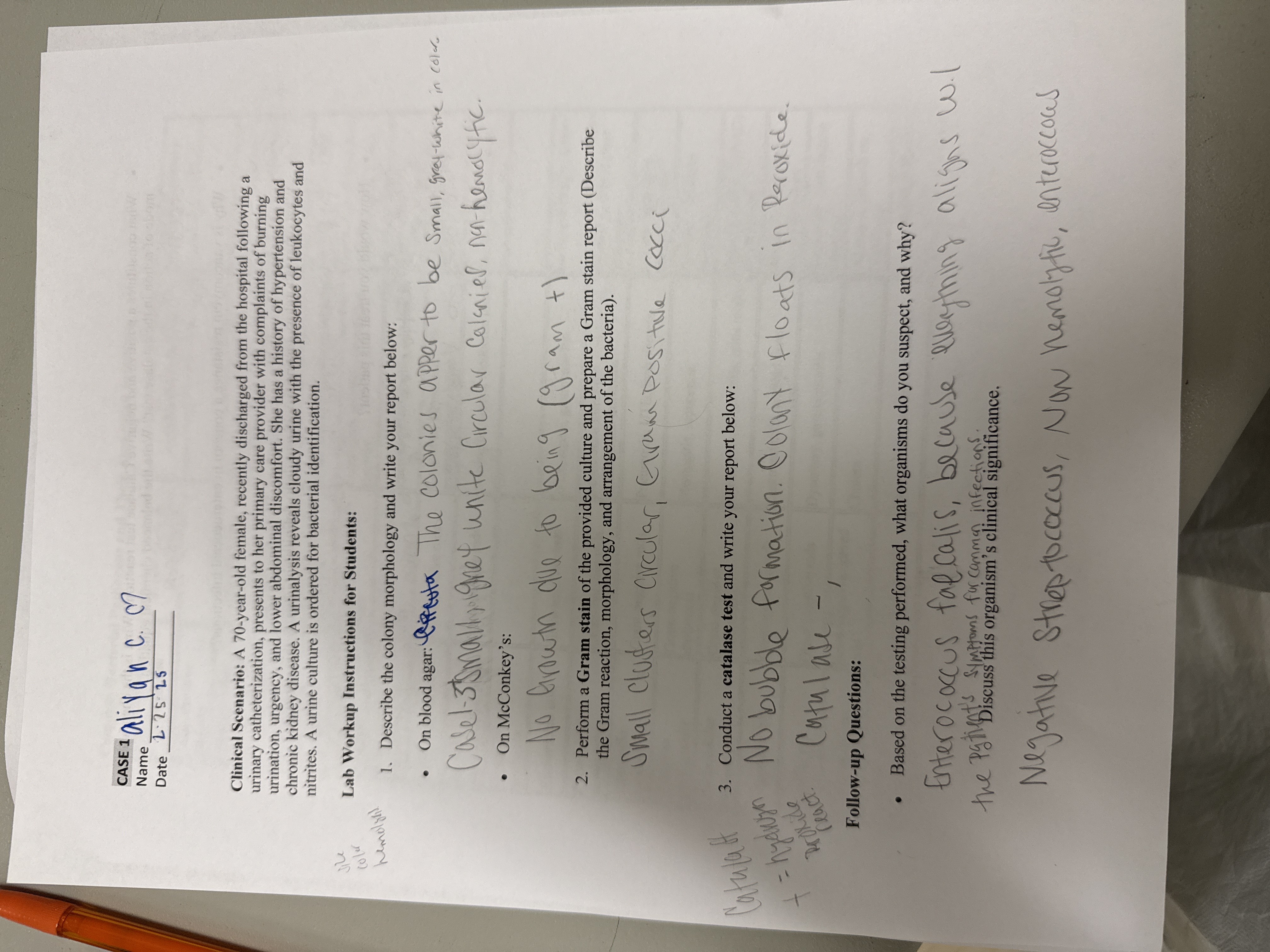 Is this correct CASE I align C. C7 Name Date L.