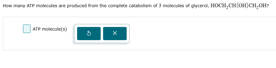 How many ATP molecules are produced from the