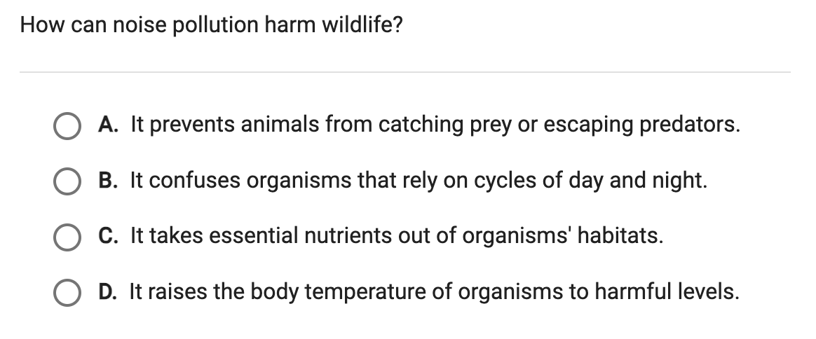 what is the correct answer? How can noise
