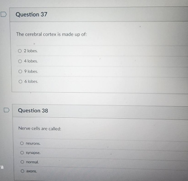 a D Question 37 The cerebral cortex is made up