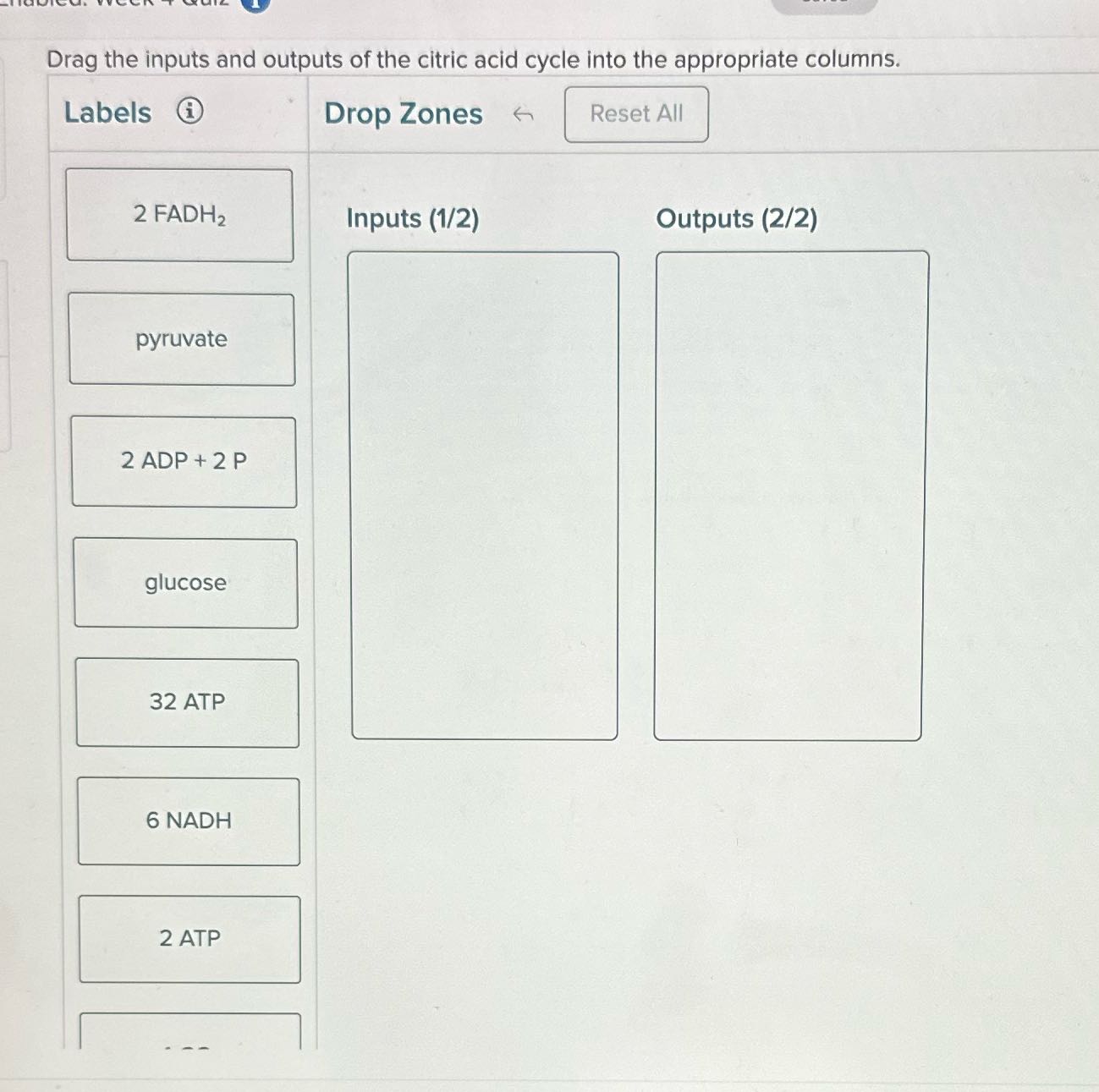 Solve Drag the inputs and outputs of the citric