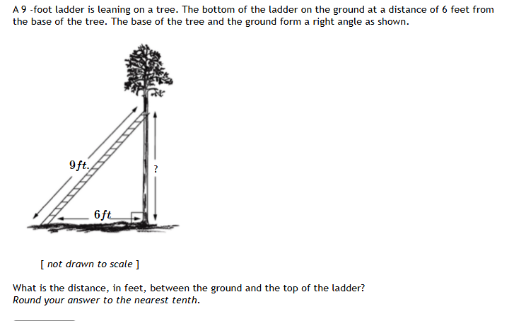 AY -foot ladder is leaning on a tree. The bottom