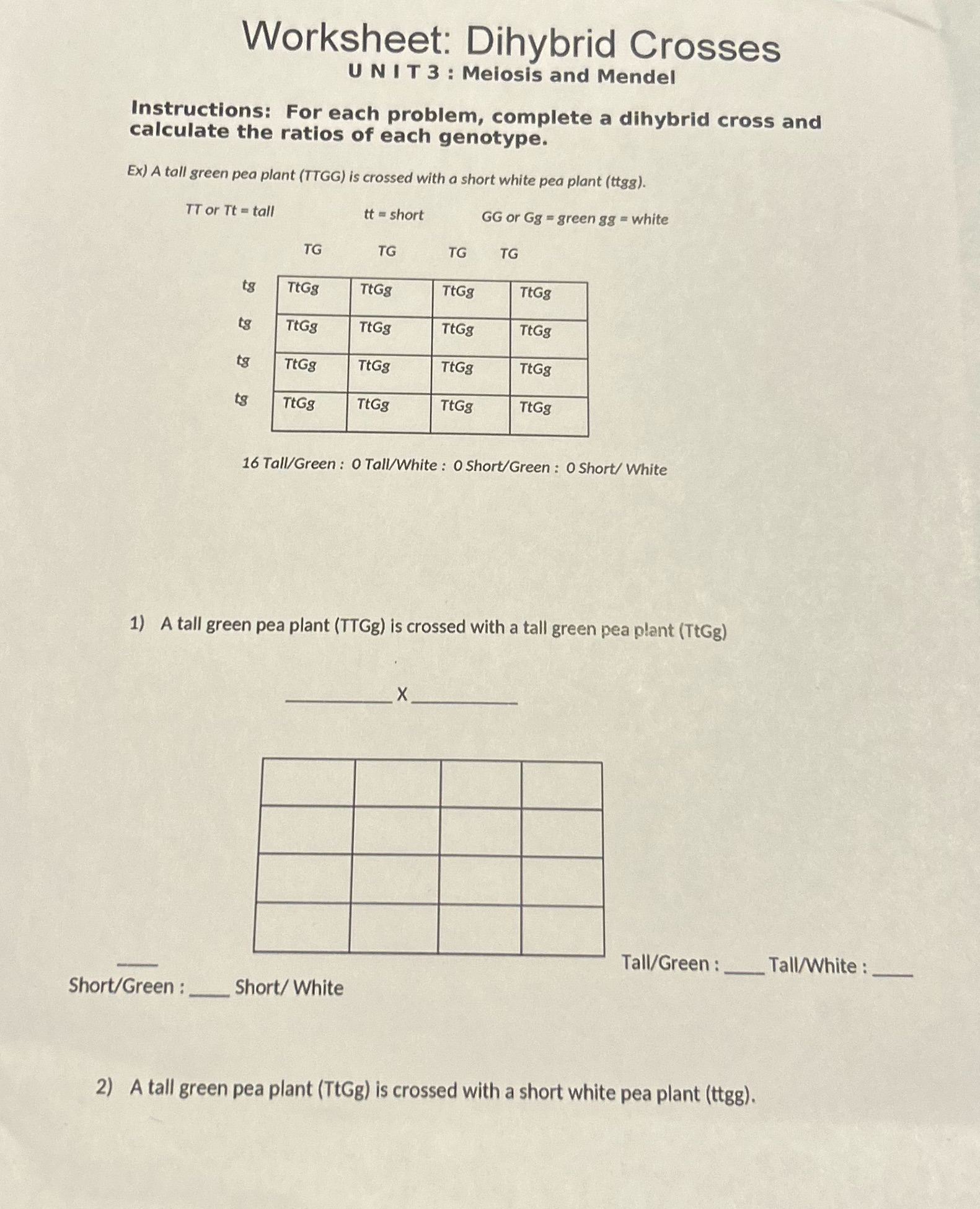 Worksheet: Dihybrid Crosses UNIT 3 : Meiosis and