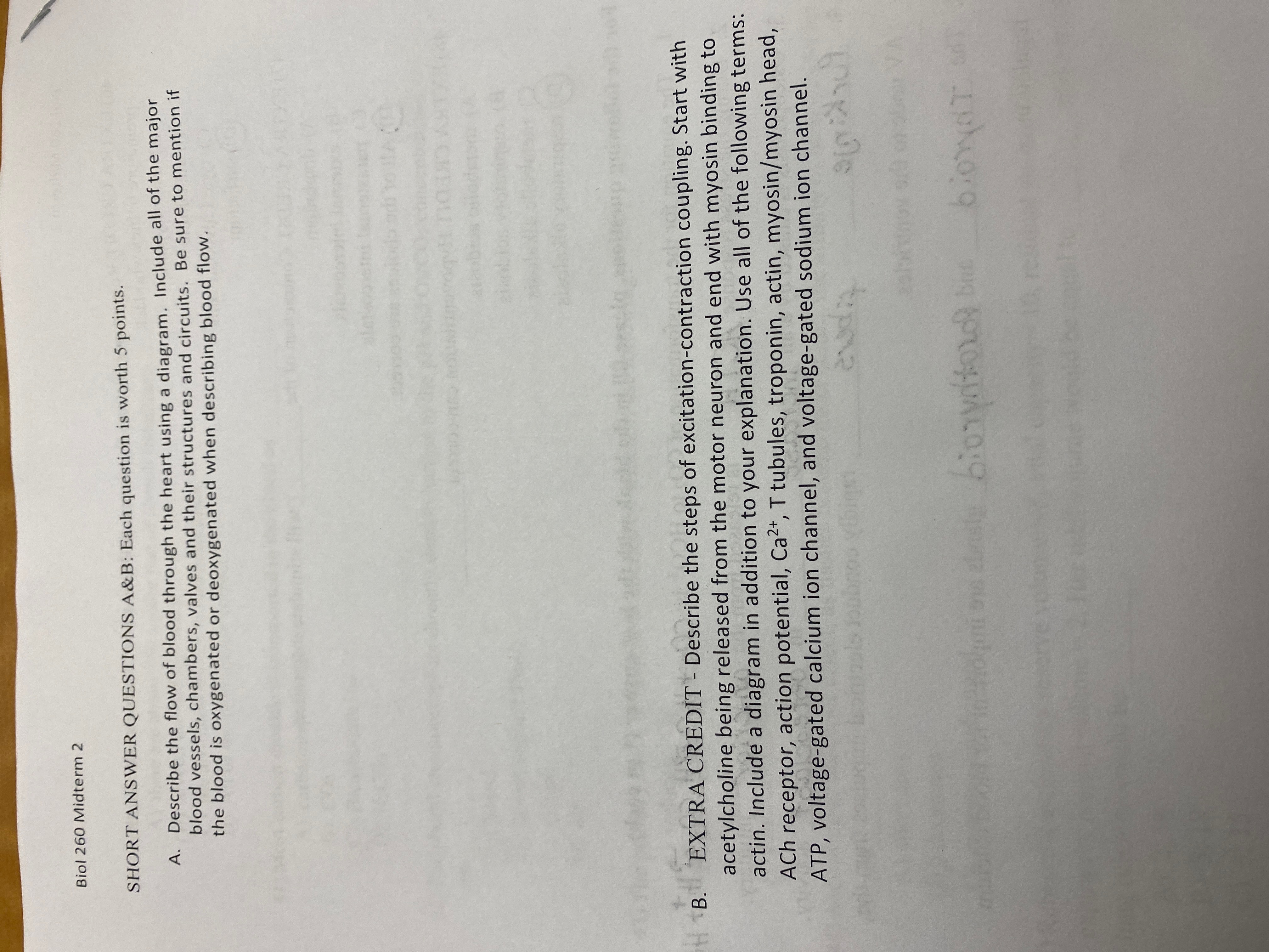 solve it Biol 260 Midterm 2 SHORT ANSWER