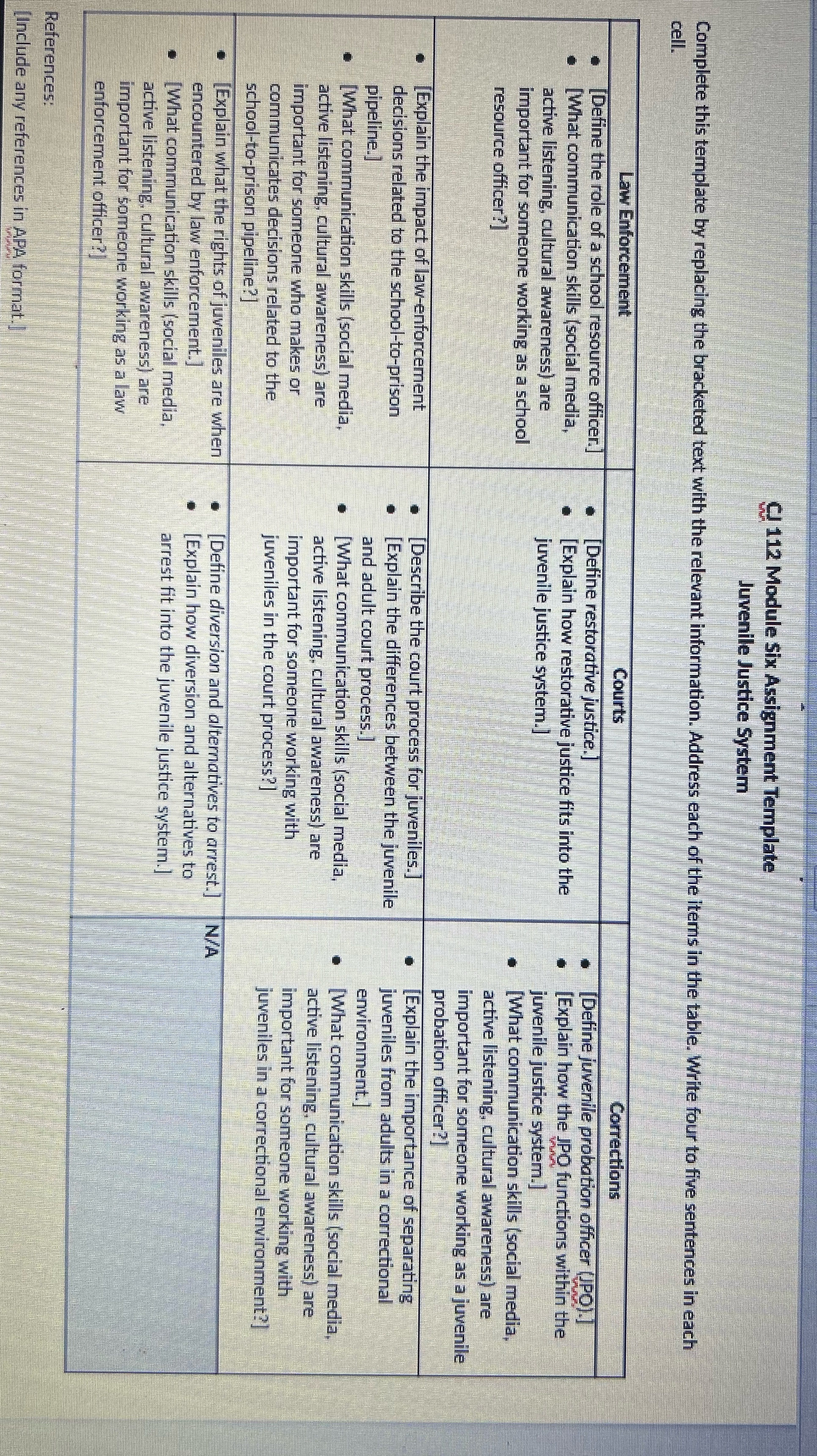 CJ 112 Module Six Assignment Template Juvenile