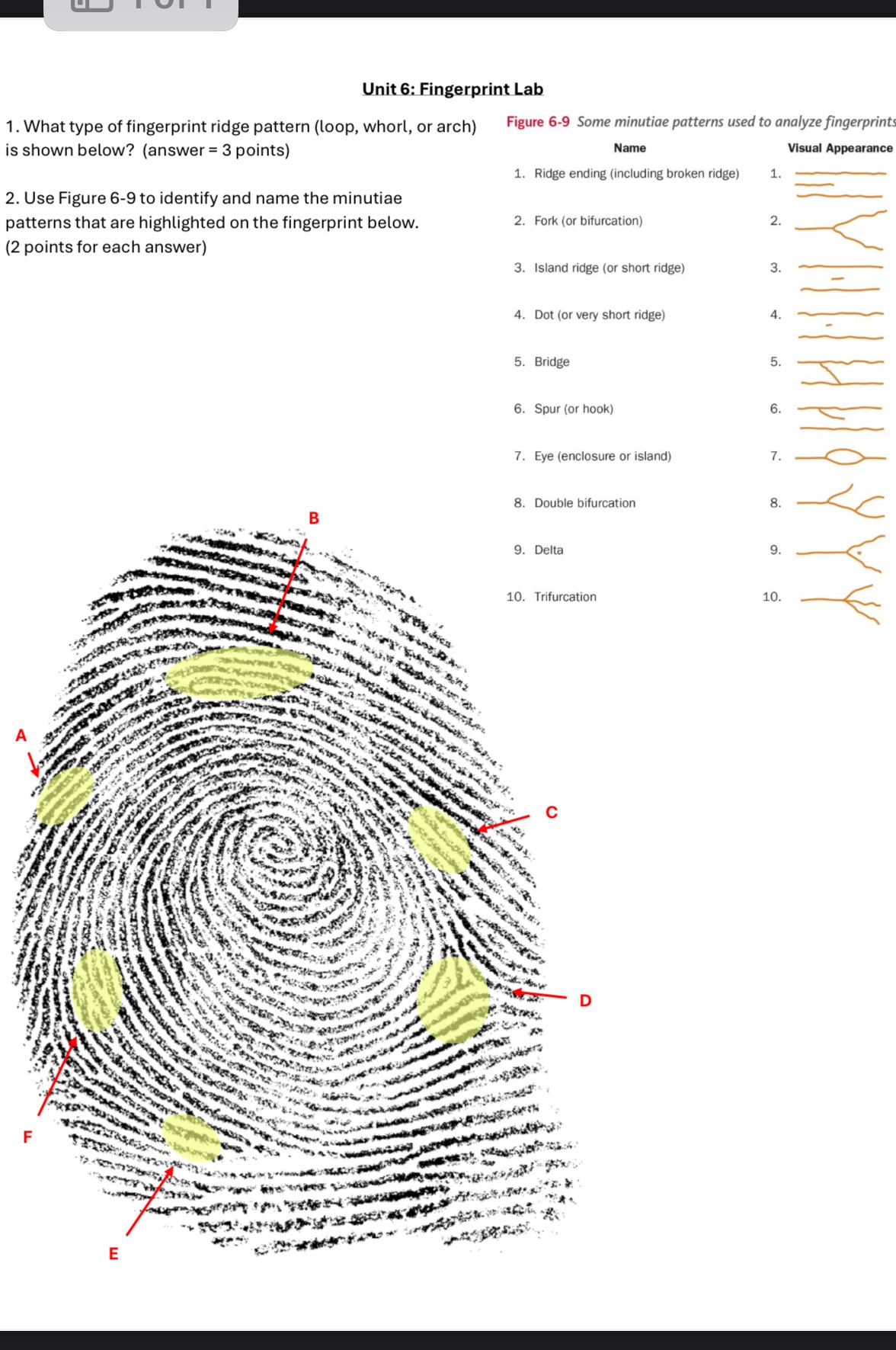 Unit 6: Fingerprint Lab 1. What type of