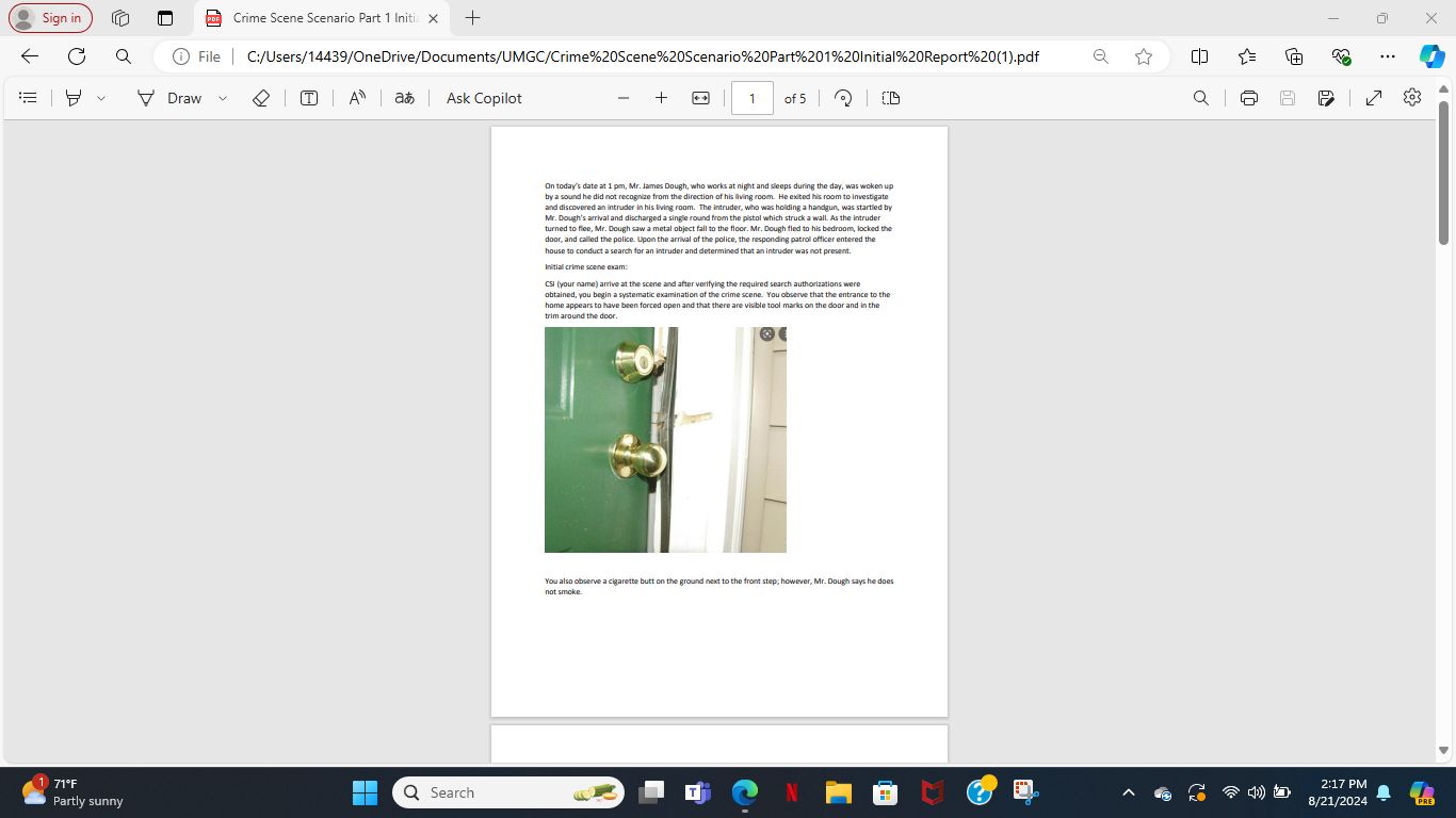 I had uploaded the Scenarios Intial Report i need