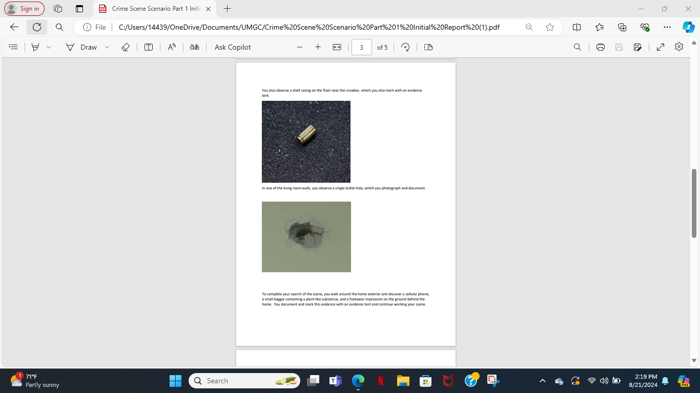 I had uploaded the Scenarios Intial Report i need