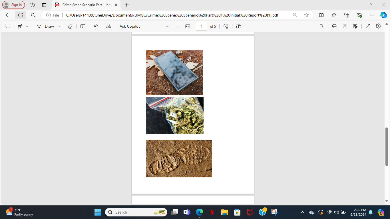I had uploaded the Scenarios Intial Report i need