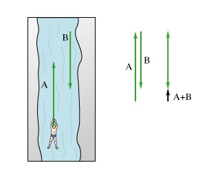 If instead of swimming against the current you