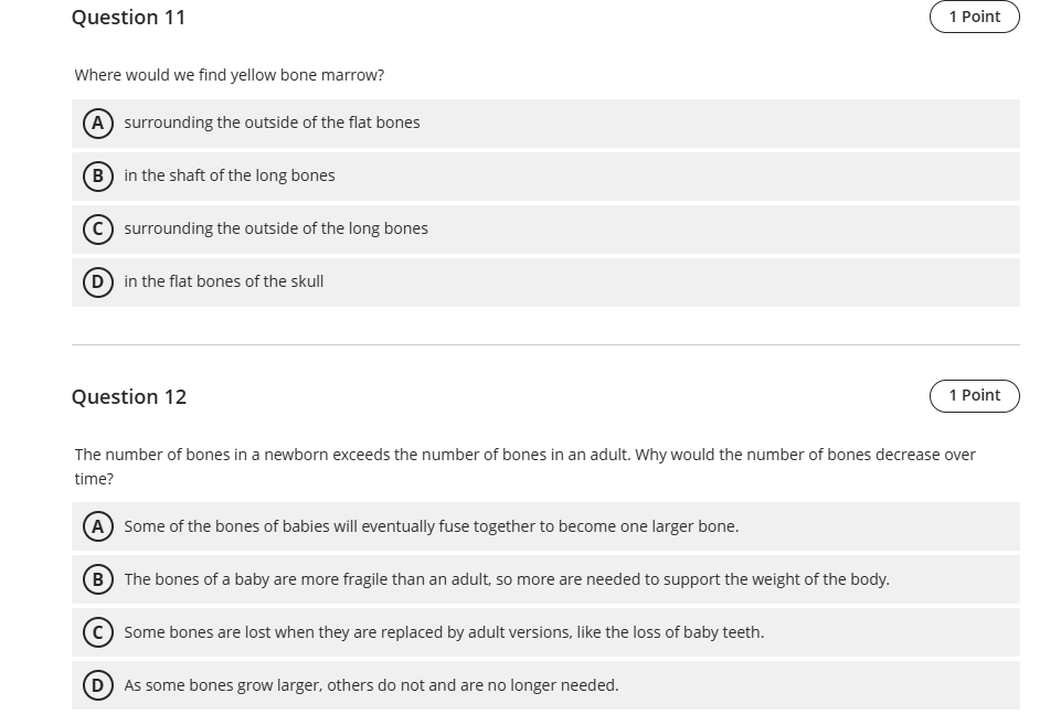 Question 11 Where would we find yellow bone