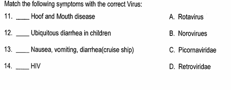 Match the following with the correct virus Match