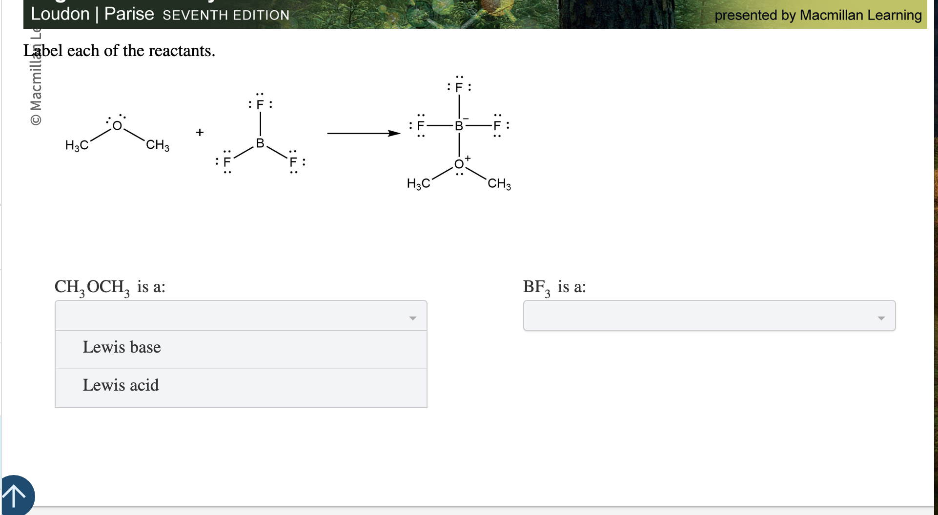 which is which Loudon | Parise SEVENTH EDITION