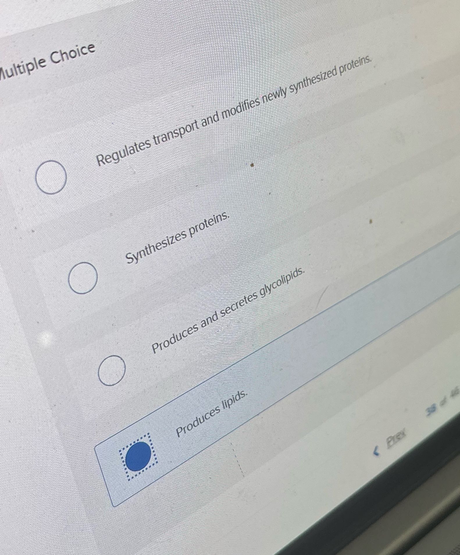 What is the main function of the Golgi complex?