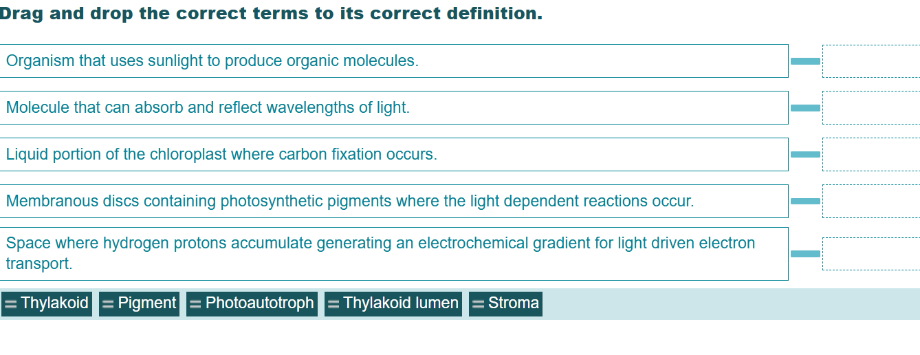 match Drag and drop the correct terms to its