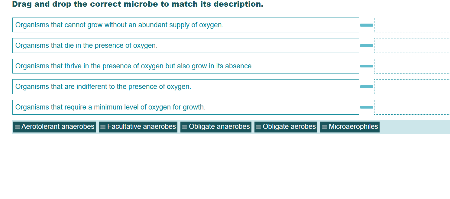 match Drag and drop the correct microbe to match