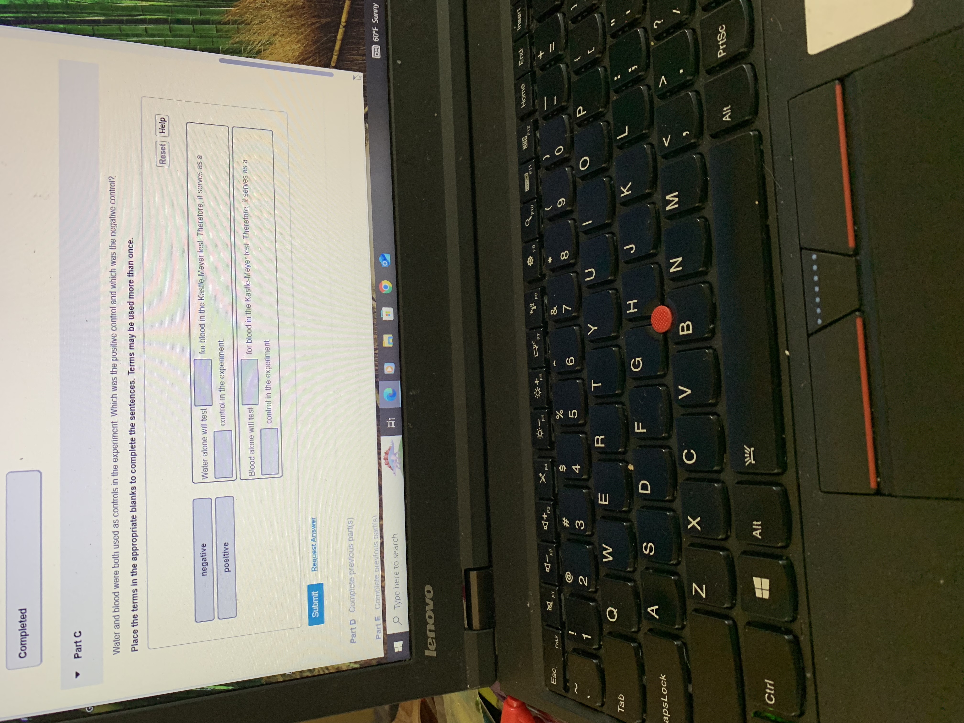 Completed Part C Water and blood were both used